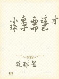 小东西这才一颗珠子而已