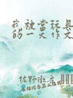 我被当玩具发泄的一天作文