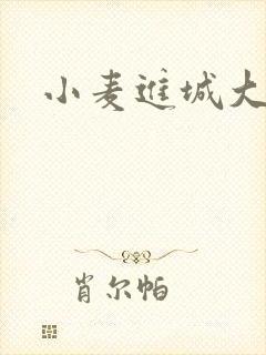 小麦进城大结局