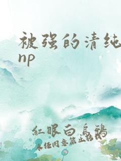 被强的清纯校花np