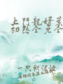 上门龙婿叶辰萧初然全免全集