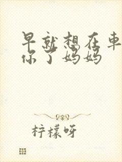 早就想在车里要你了妈妈