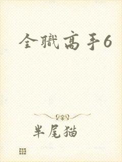 全职高手6