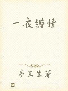 一夜缠情