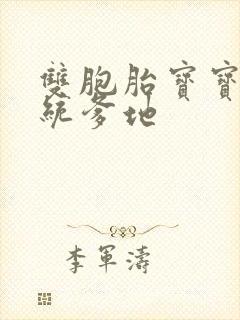 双胞胎宝宝的总统爹地