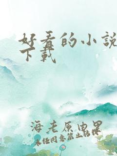 好看的小说打包下载