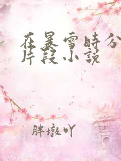 在暴雪时分高能片段小说