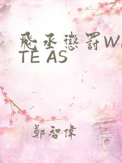 飞丞惩罚WRITE AS