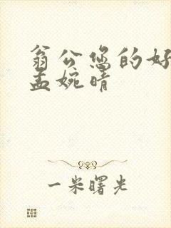 翁公您的好长呀孟婉晴