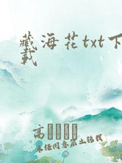 藏海花txt下载