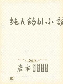 纯h的bl小说
