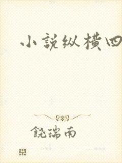 小说纵横四海