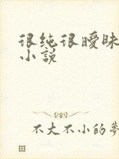 很纯很暧昧有声小说