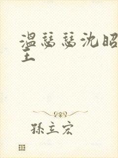 温瑟瑟沈昭摄政王