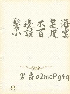 鬓边不是海棠红小说百度云