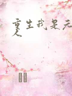 重生我是元帅夫人