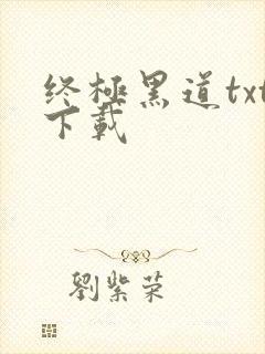 终极黑道txt下载