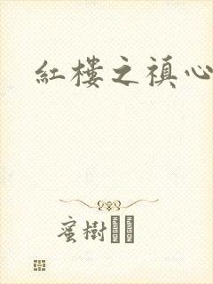 红楼之禛心锁玉