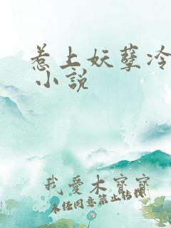 惹上妖孽冷殿下 小说