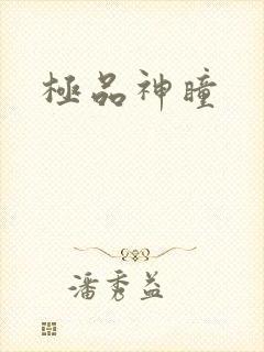 极品神瞳