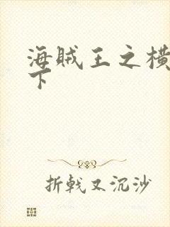 海贼王之横行天下