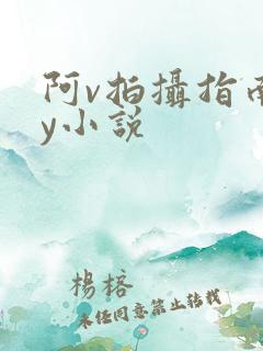 阿v拍摄指南by小说