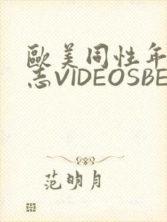 欧美同性年轻同志VIDEOSBEST