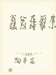 翁公在厨房和我猛烈撞击小说