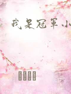 我是冠军小说