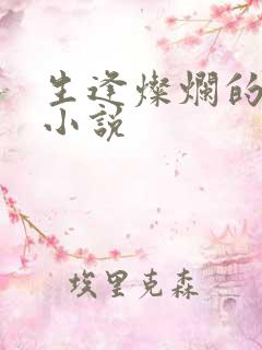 生逢灿烂的日子小说