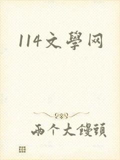 114文学网