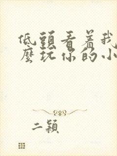 低头看着我是怎么玩你的小说