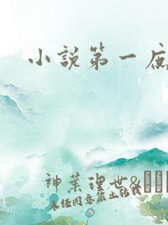 小说第一庶女