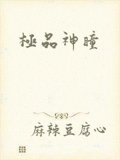 极品神瞳
