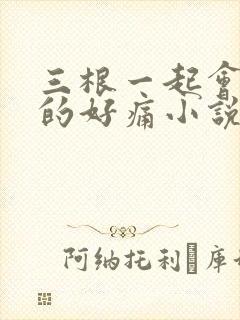 三根一起会坏掉的好痛小说