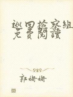 巡回检察组小说免费阅读