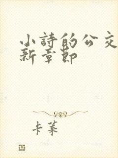 小诗的公交车最新章节