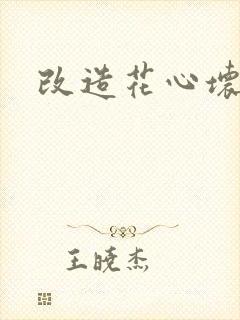 改造花心坏相公