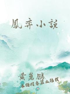 凤弈小说