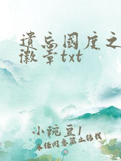 遗忘国度之神秘徽章txt