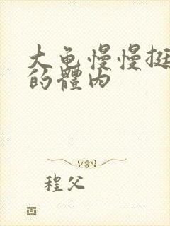 大龟慢慢挺进我的体内