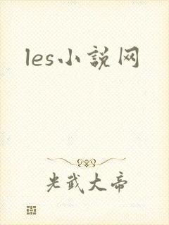 les小说网