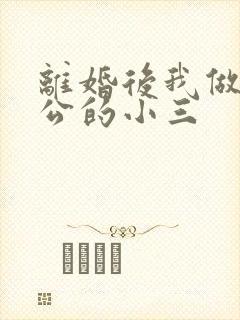 离婚后我做了老公的小三