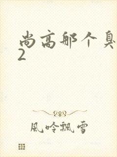 尚高那个臭小子2