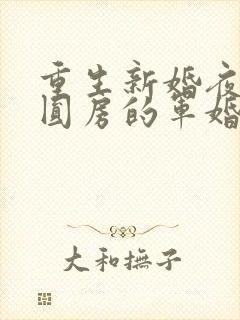 重生新婚夜正在圆房的军婚小说