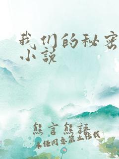 我们的秘密泰剧小说