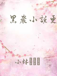 黑岩小说更新吧