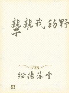 亲亲我的野猪王子