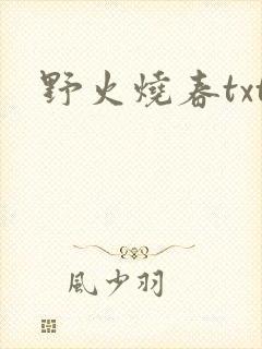 野火烧春txt