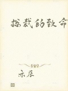 总裁的致命罪妻